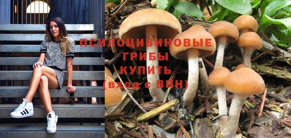 мдпв Бородино