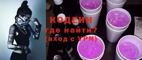 мдпв Бородино