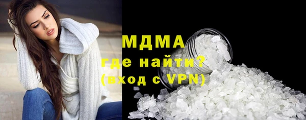 мдпв Бородино
