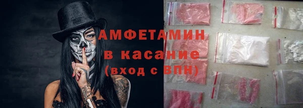 мдпв Бородино