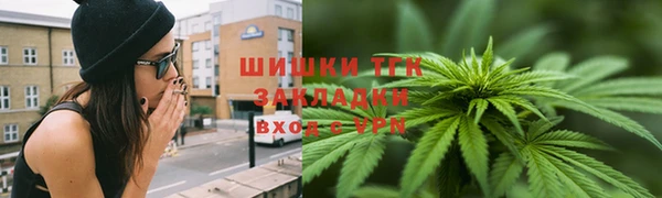 мдпв Бородино