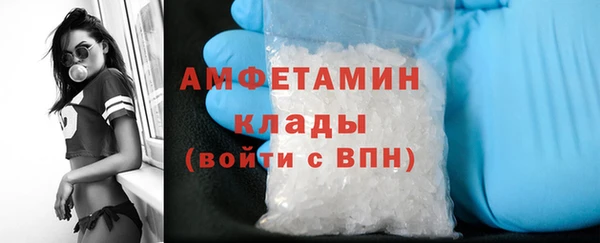 мдпв Бородино