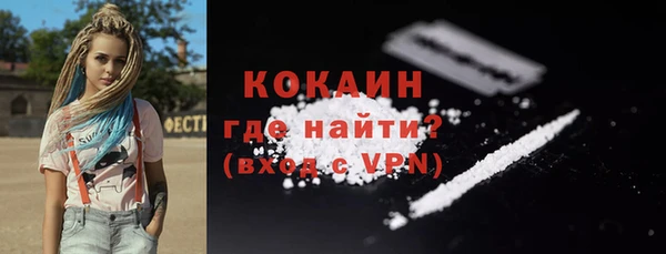 мдпв Бородино