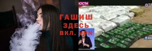 мдпв Бородино