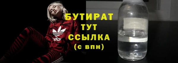 мдпв Бородино