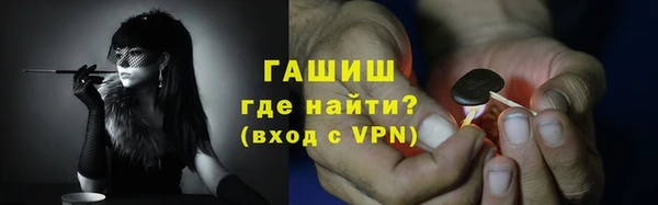 мдпв Бородино