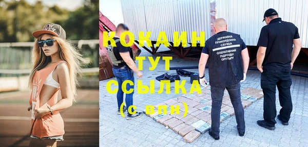 мдпв Бородино