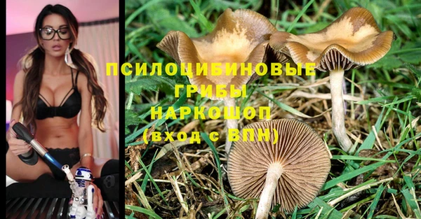мдпв Бородино