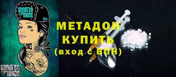 мдпв Бородино